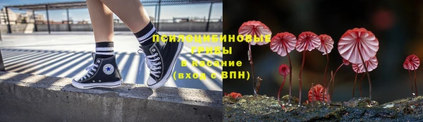 не бодяженный Алзамай