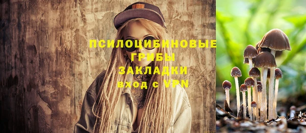 не бодяженный Алзамай