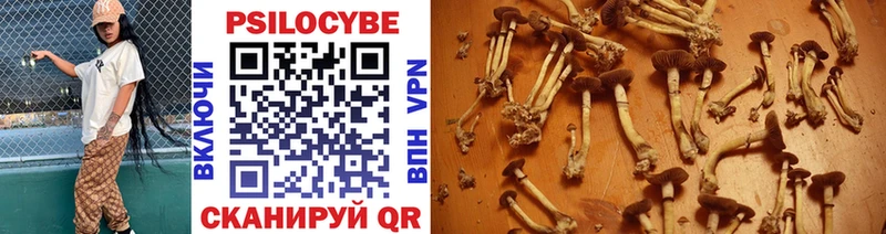 Псилоцибиновые грибы Psilocybine cubensis  Кашин 